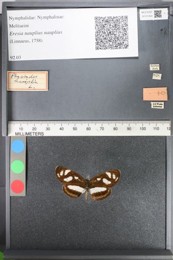 Media type: image;   Entomology 101064